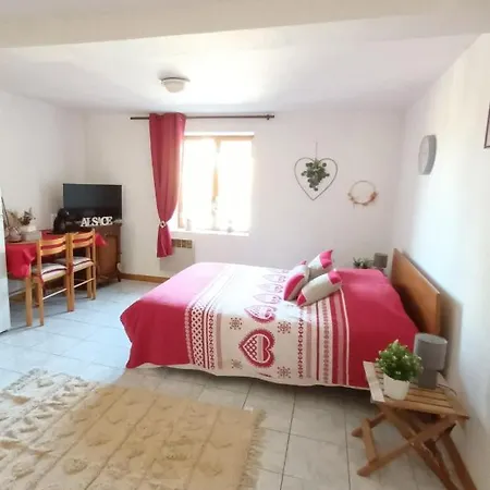 아파트 Petit Nid Douillet 엔지스하임