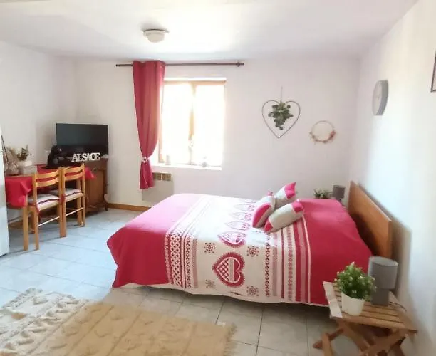 Apartman Petit Nid Douillet Ensisheim