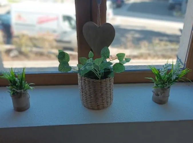 Petit Nid Douillet Apartman